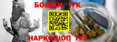 гашик Моздок