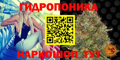 гашик Моздок