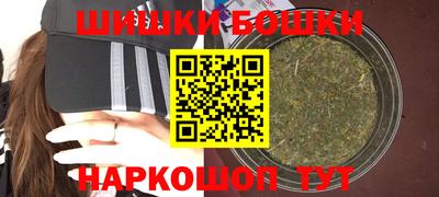 гашик Моздок