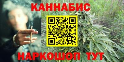 гашик Моздок