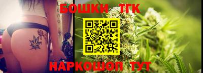 гашик Моздок