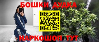 гашик Моздок