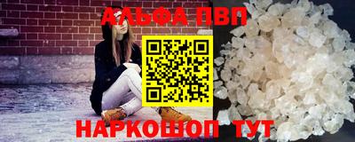 гашик Моздок