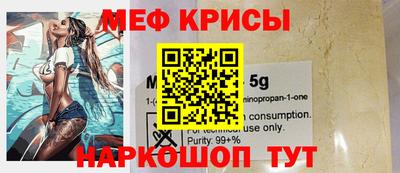 гашик Моздок