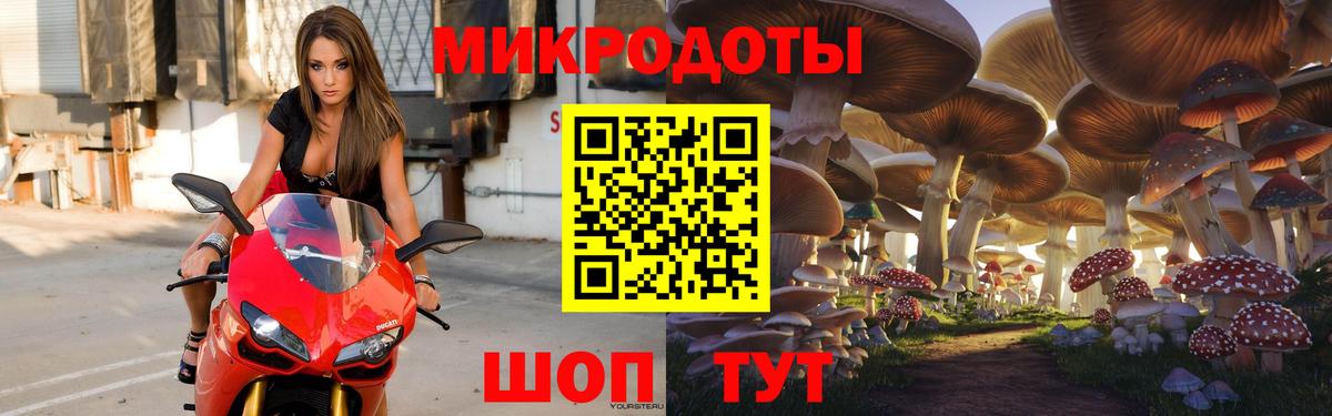 Галлюциногенные грибы Psilocybine cubensis Среднеуральск